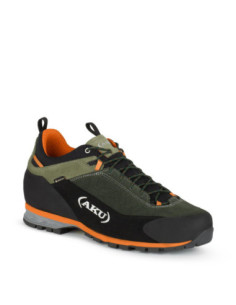 scarpa bassa LINK GTX 2