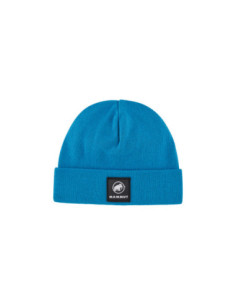 Fedoz Beanie 2