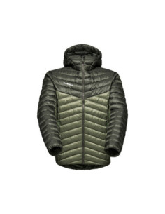 Albula IN Hooded Jacket Men